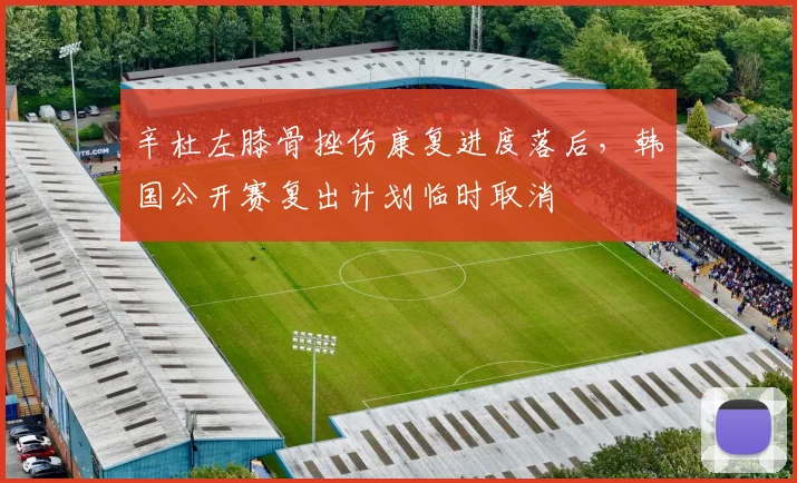 辛杜左膝骨挫伤康复进度落后，韩国公开赛复出计划临时取消